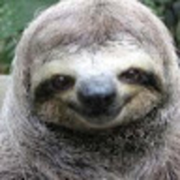 Meet your Posher, Zayn - Picture 1 of 1